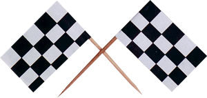 Large Checkered Flag Pick, 12 Pack
