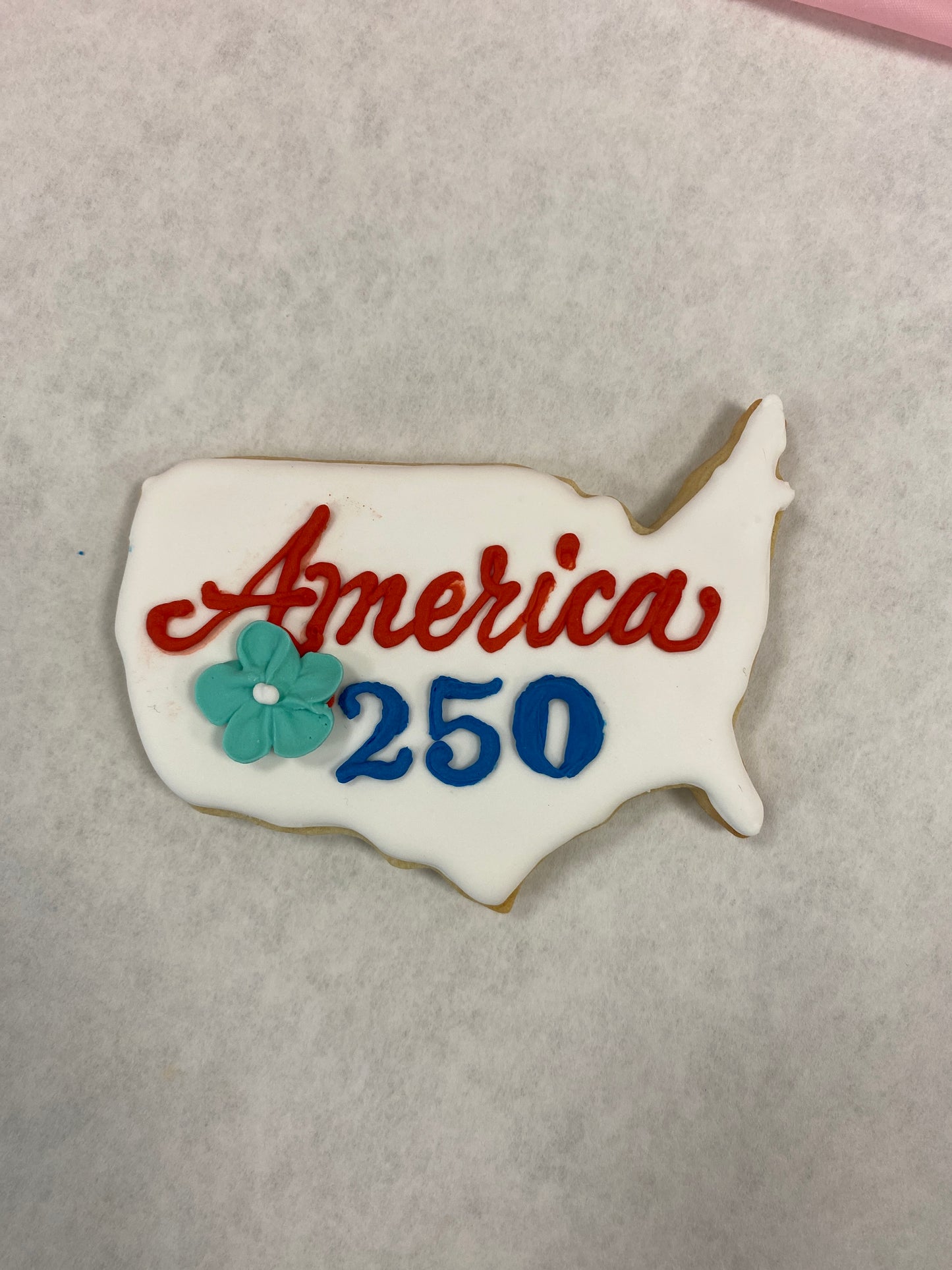 United States / USA Map Cookie Cutter, 4.25"