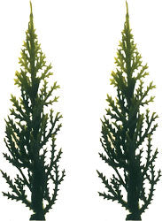 Variegated Tree Pick, 4 Pack