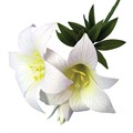 Star Gazer Lily Cutter Set, 2 Piece