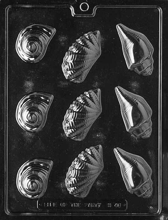 Large Assorted Shells Mold
