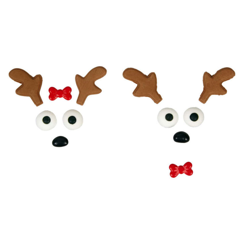 Christmas Reindeer Decorating Kit