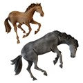 Wild Horse Cutters, 2 Piece