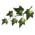 JEM Small Ivy Cutter Set, 4 Piece