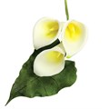 Life Size Arum Lily & Leaf, 2 Piece