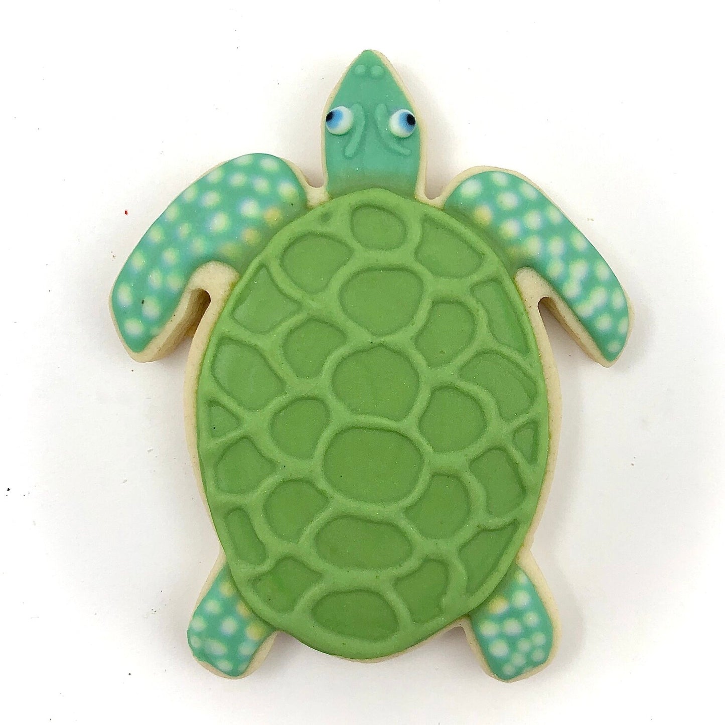 Sea Turtle Cookie Cutter, 4"