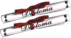 Small Paper Diploma with Bow, each