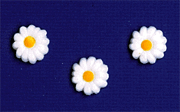 Small Sugar Daisy White, 9 Pack