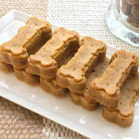 Silicone Dog Bone Pet Treat Mold, 2.875"