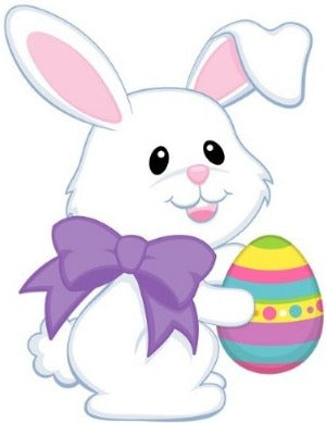 Beginner Cookie Workshop - Easter Theme Class