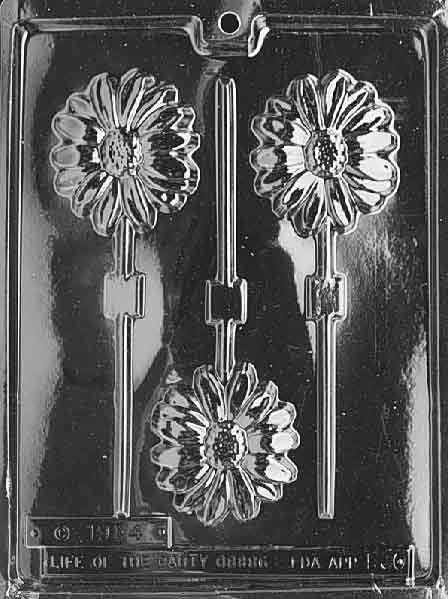 Long Stem Daisy Pop