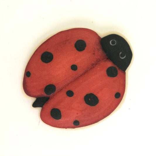 Ladybug Cookie Cutter, 3"