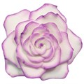 Rose Petal Cutter Set, 4 Piece
