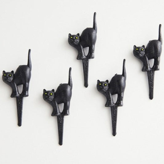 Black Cat Picks, 12 Pack