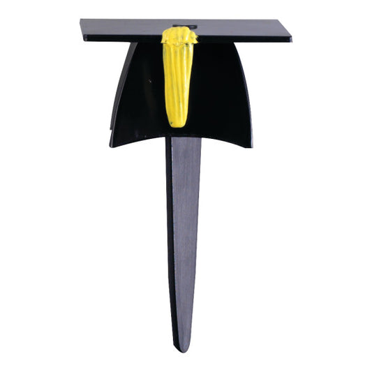Graduation Cap 3D Picks, 12 Pack